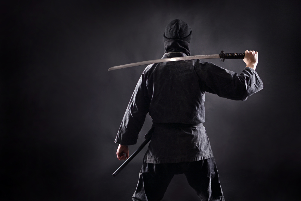 mindful movement silent assassins